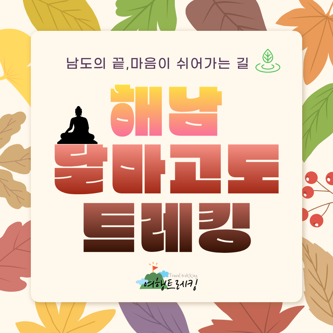 달마고도 표지.png