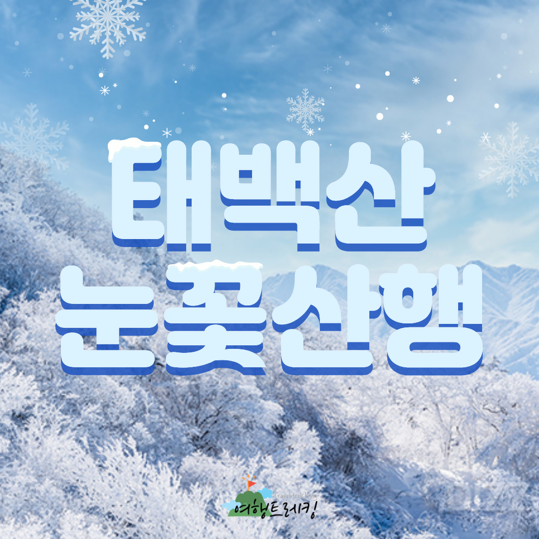 태백산 눈꽃산행.png