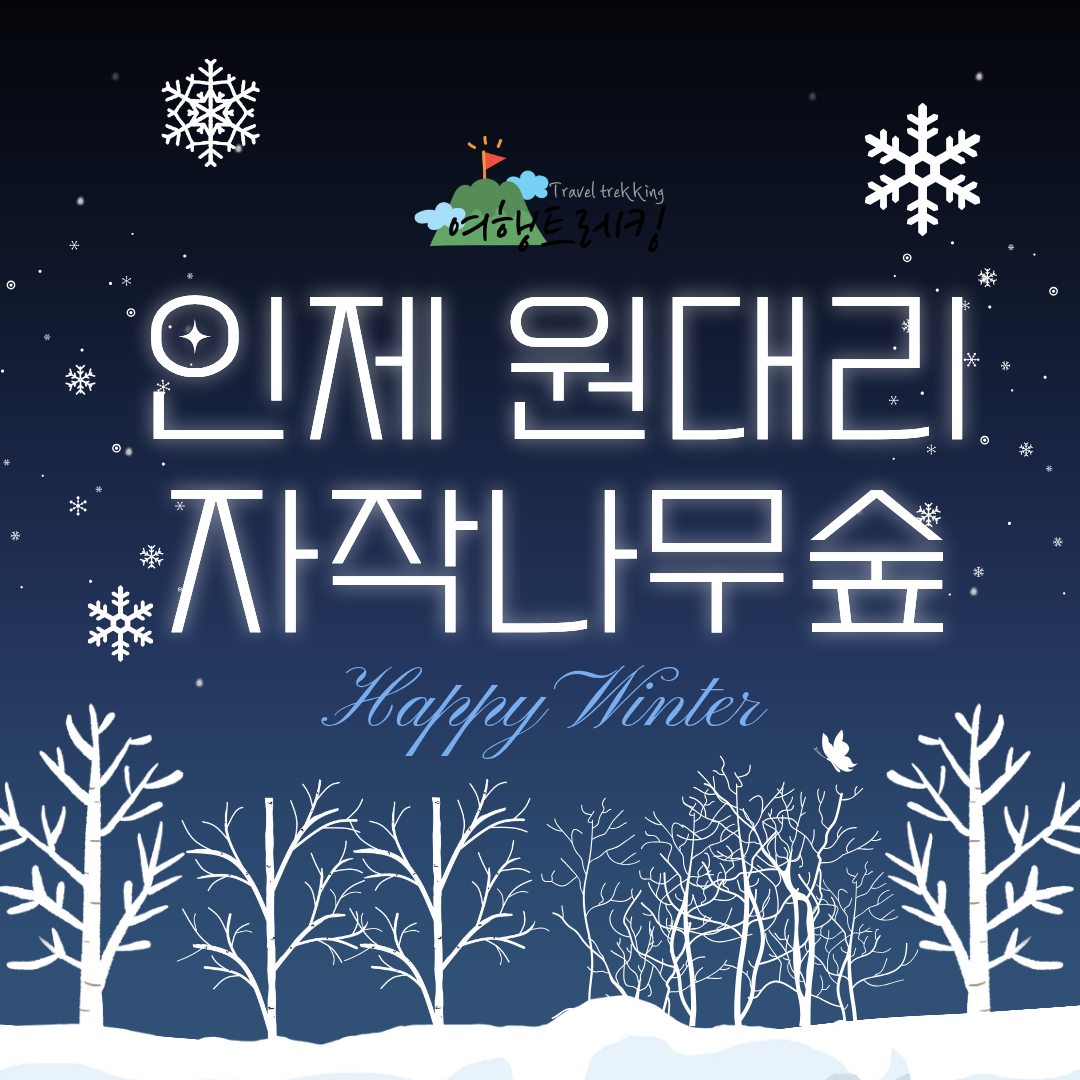 인제 원대리 자작나무숲 표지.png